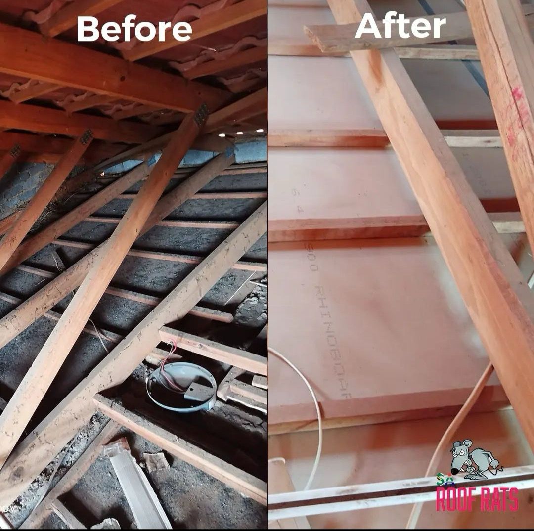 Residential Attic Restoration - Ceiling Vacuuming Before & After