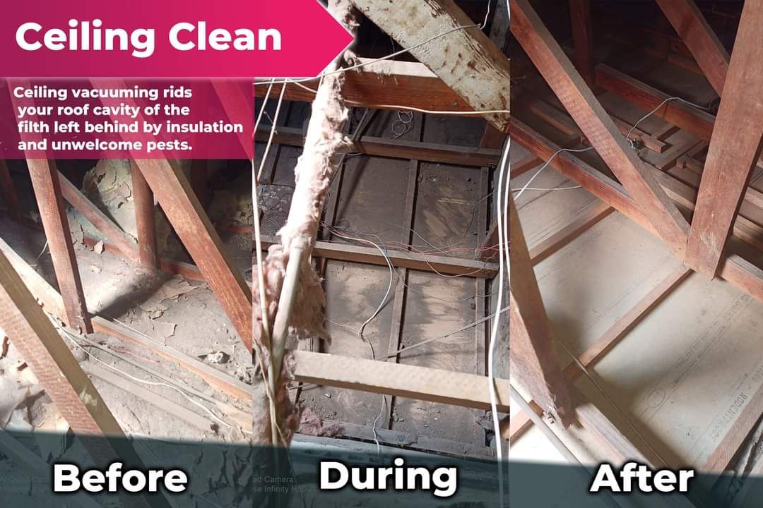 Ceiling Vacuuming & Sanitisation Process