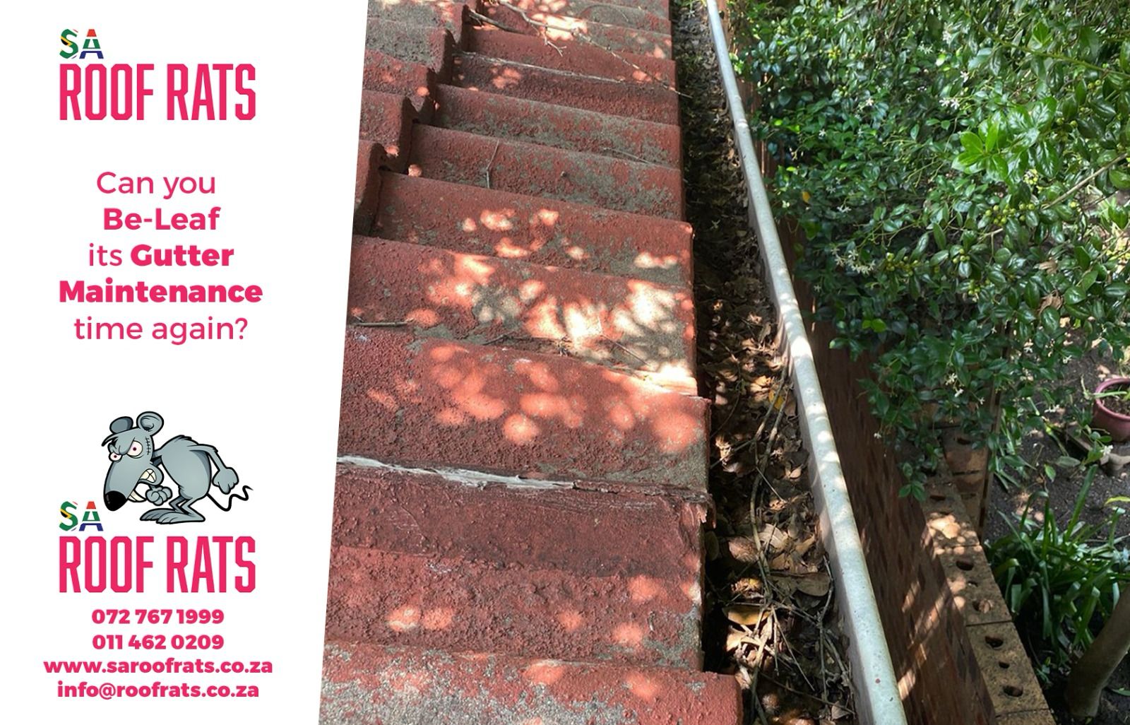 High Pressure Gutter & Downpipe Cleaning