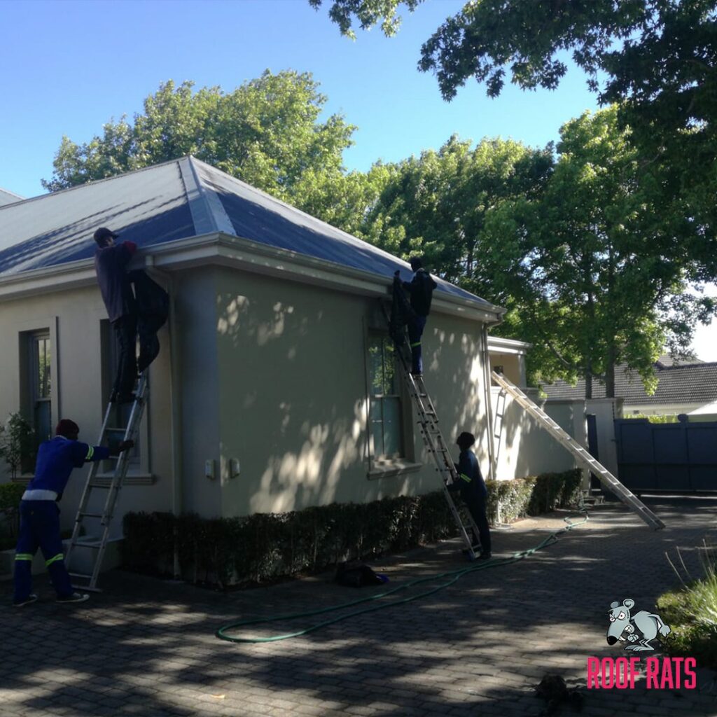 Gutter Guards SA Roof Rats